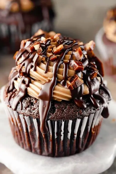 chocolate cupcakes